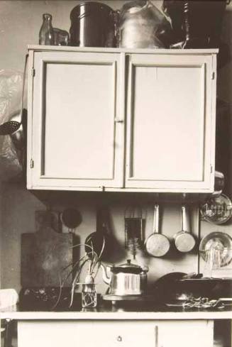 Untitled (kitchen cabinets)