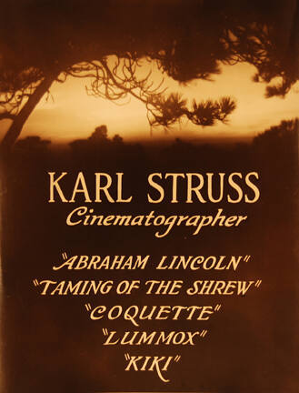 Karl Struss, Cinematographer