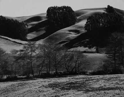 Landscape with Shadows