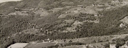 Near Greve in Chianti, Tuscany