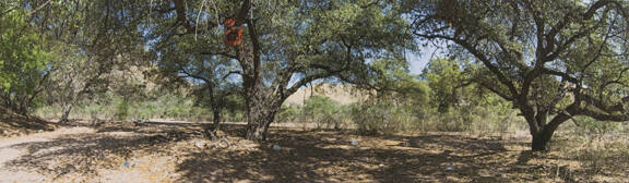 Potrero Canyon (with water jugs), Arizona, from the "Working the Line" series