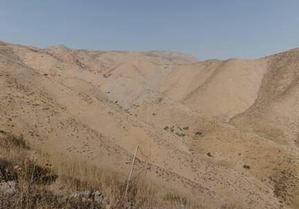 Fence Line, Tecate Peak, from the "Working the Line" series