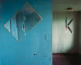 #401, Green Room, Public Housing, Chicago, IL