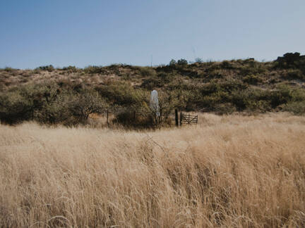 Border Monument No. 73, N 31° 19.942' W 109° 05.308', from the "Working the Line" series