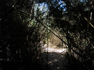 Smuggling Route Near the Colorado River (with border fence), Baja California, from the "Working the Line" series