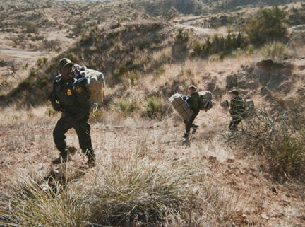 Poaching a Dope Stash, from the "Working the Line" series