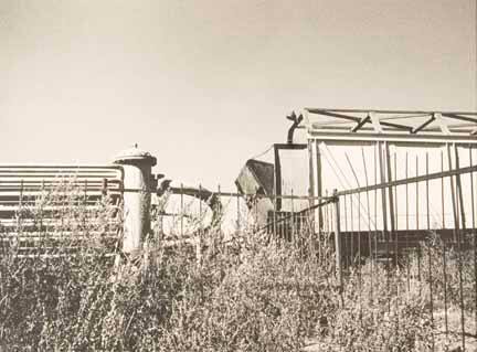 Untitled (weeds, fence, machinery)