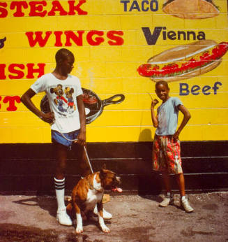 George's, from the "Hot Dog Stands" series and Changing Chicago