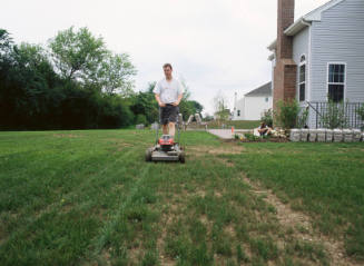 Gurnee, Illinois, from the Mowing the Lawn portfolio