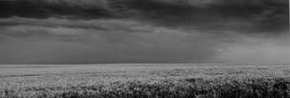 East of Sharon Springs, Kansas