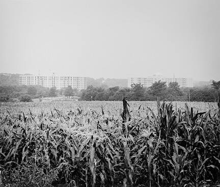 Cornfields with Two Apartment Buildings, from Changing Chicago