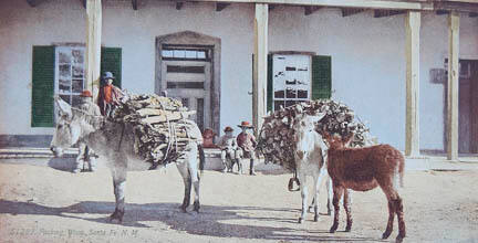 Packing Wood, Santa Fe, New Mexico