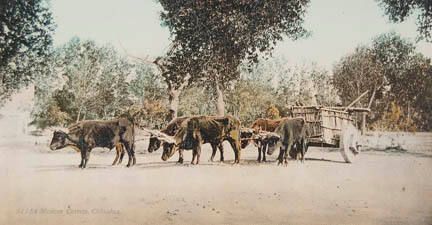 Mexican LCrreta, Chihuahua