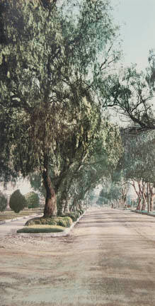 Marengo Avenue, Pasadena, California