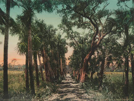 Old Causeway Near Ormond, Florida