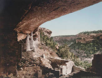 Cliff Palace, Mesa Verde, From the Ruins, Colorado