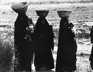 Procession Bearing Food to the Dead, Upper Egypt