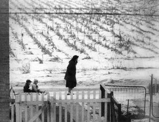 Trying out my new 300mm Nikon telephoto from an upstairs window, I was able to sight energetic Florence giving Harmon and Dick their first sled ride around Stockton  Avenue. I occasionally used those corn fields in the background to take off and land in the helicopters I rented for aerial pictures. I remember the hourly rate in those days: $75!