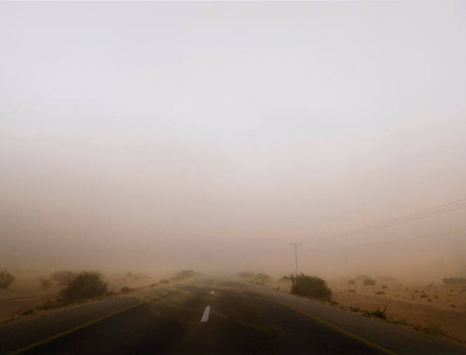 Road to nowhere, between Zeelim and Halutza Sand, Israel, from the 29 x 29 Portfolio by the graduates of the MFA Photography, Video and Related Media Program at the School of Visual Arts