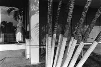 Mannequin, Ponce, Puerto Rico