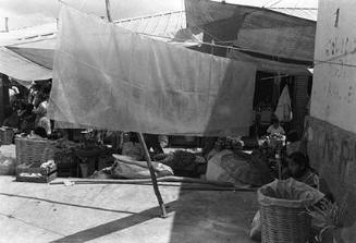 Oaxaca Market, Mexico