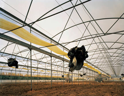 Greenhouse, Sicily, from the "Architecture of Resignation" series