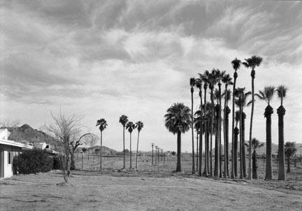 29 Palms: Marine Palms