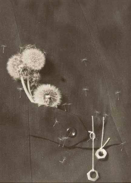 Untitled (pocket with dandelion and nuts)