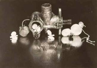 Untitled (still life with plumbing)