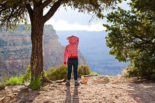 Girl From The Canyon, from the "Wild & Precious" series