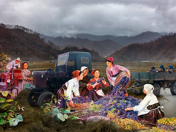 Harvest Time, from the "North Korea, a Life between Propaganda and Reality" series