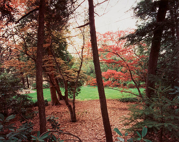 Saddle River, NJ, from the "Joe Maloney/Dye Transfer" portfolio