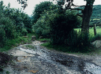 Border Crossing, from "The Renaissance Society Photography Portfolio"