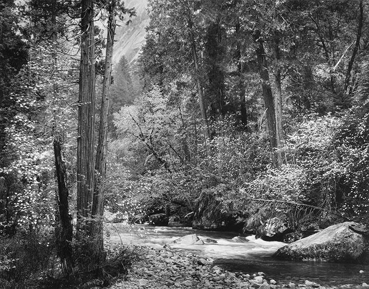 Tenaya Creek, Dogwood Rain, Yosemite Valley, California