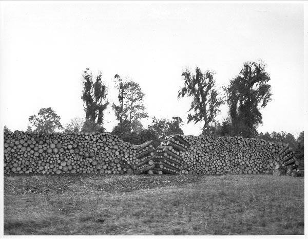 [Logging Landscape]