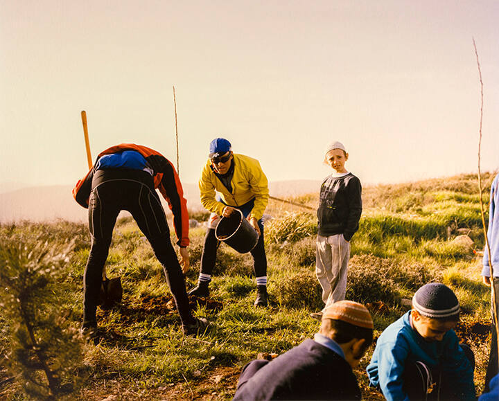 Israeli settlers in the illegal settlement outpost, Migron, plant trees on the Jewish holiday, T'u B'shevat, from the "House without a Roof" series