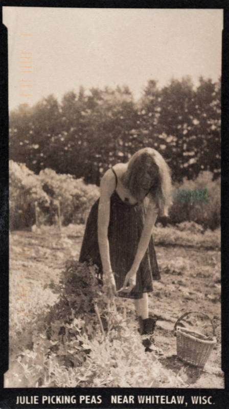 Julie Picking Peas Near Whitelaw, Wisc., from the "Real Photo Postcards of People & Places" series