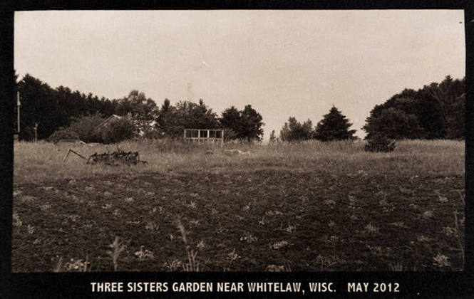 Three sisters Garden near Whitelaw, Wisc. May 2012, from the "Real Photo Postcards of People & Places" series