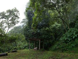 Vernacular Architecture for Coffee Harvest, Hacienda San Pascual, Antioquia - southwest