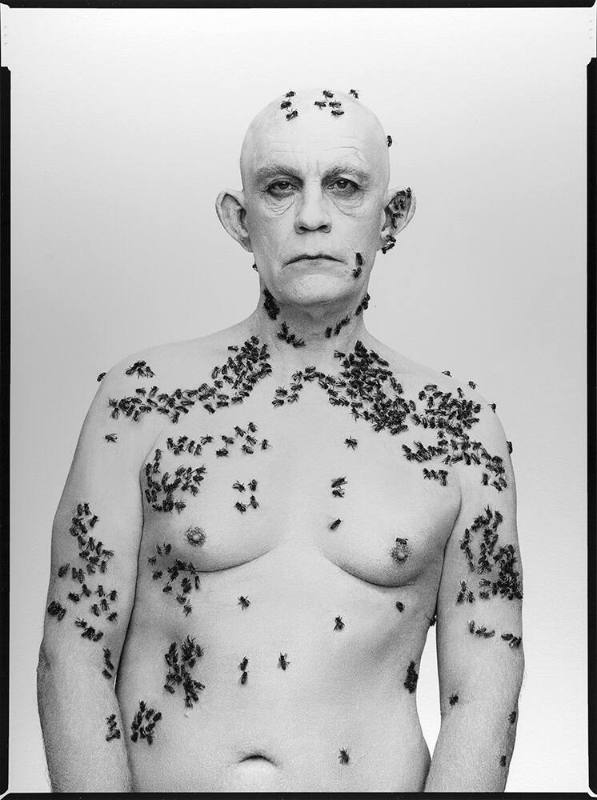 Richard Avedon / Ronald Fischer, Beekeeper, Davis, California, May 9 (1981)