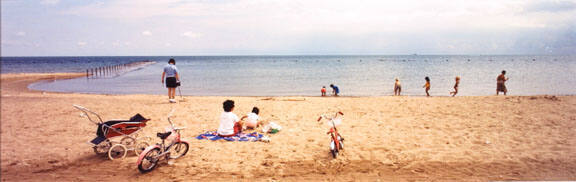 North Avenue Beach, Chicago, from Changing Chicago