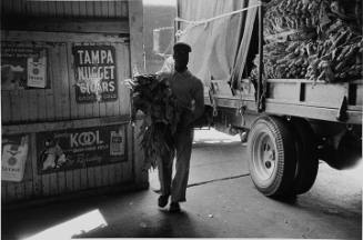 Tobacco Warehouse