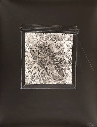 Winter Window - with window shade and pull cord in chalk pastel drawing, from the "Winter Windows" series