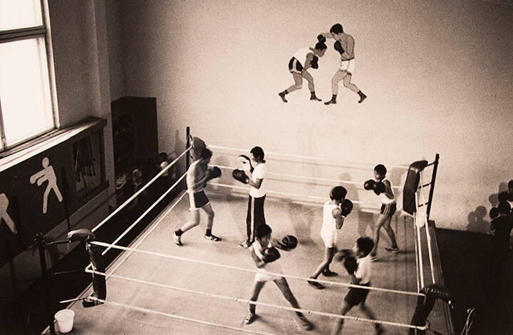 Boxing Youth, Mongolia