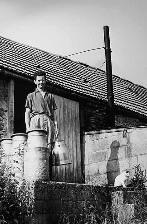 A man, a milkjug, a cat, and a shadow: England