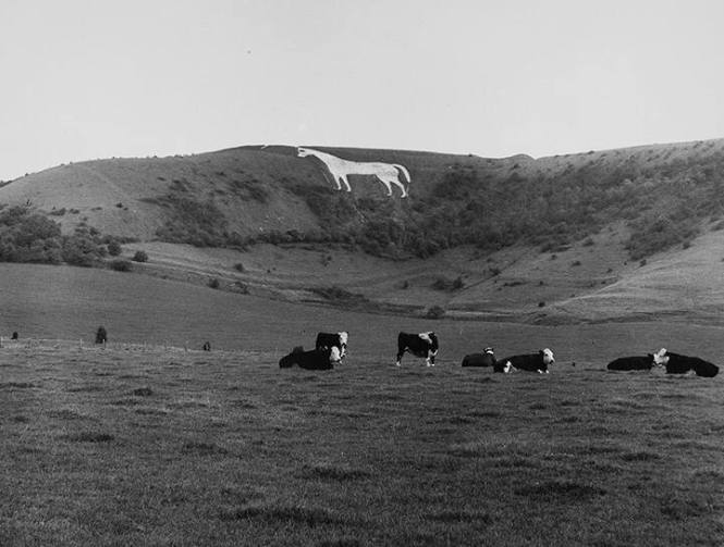 White Horse of Westbury, England, September, 1982