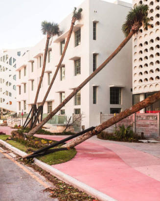 Pink Sidewalk, from the "FloodZone" series