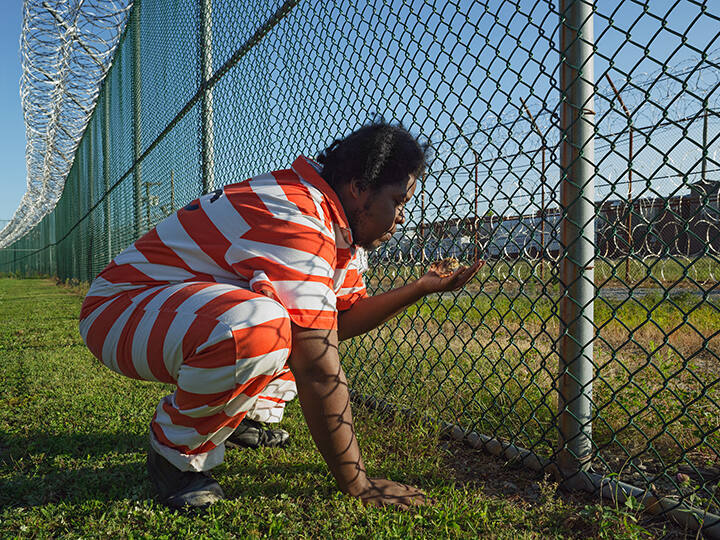 Troy Holding a Guinea Fowl Chick, Greenhouse Program, Rikers Island Jail Complex, New York, from the "Human Nature" series