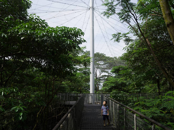 Xing in an Aviary, Jurong Bird Park, Singapore from the "Human Nature" series