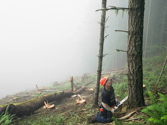 Nate Clearcutting a Forest Planted 60 Years Earlier, Oregon, from the "Human Nature" series